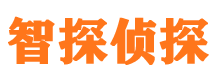 辽中市调查公司